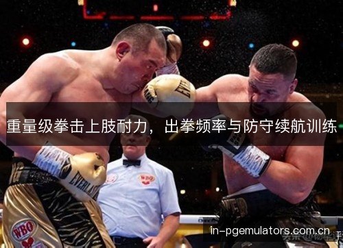 重量级拳击上肢耐力，出拳频率与防守续航训练